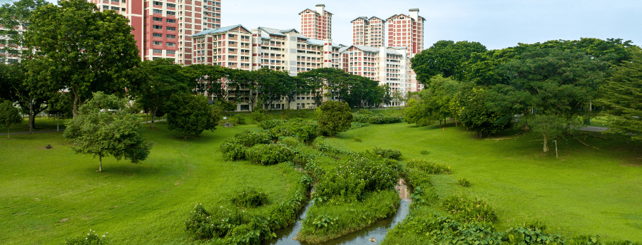 Bishan park in Singapore park next to residential district