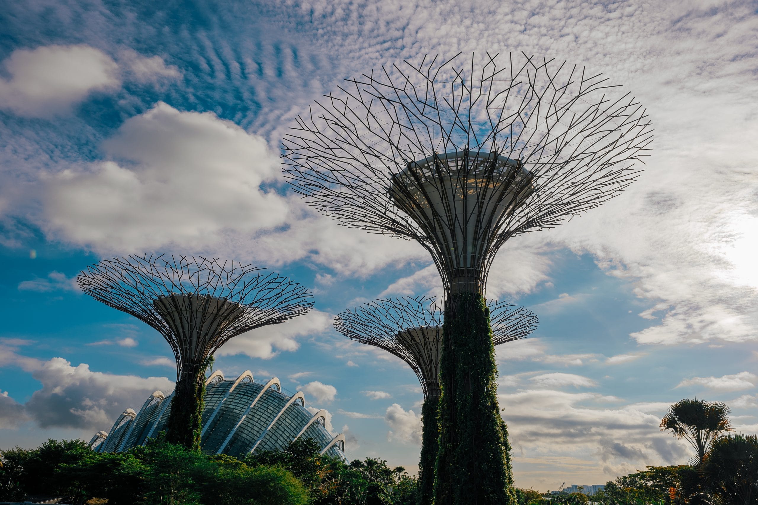 scenery of gardens by the bay