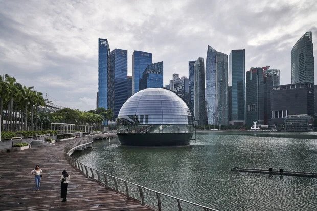 a person standing on a boardwalk in front of a glass dome building