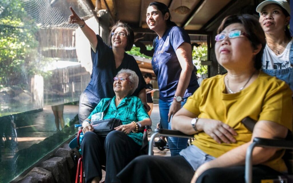 Wheelchair-bound individuals enjoying a day at the zoo